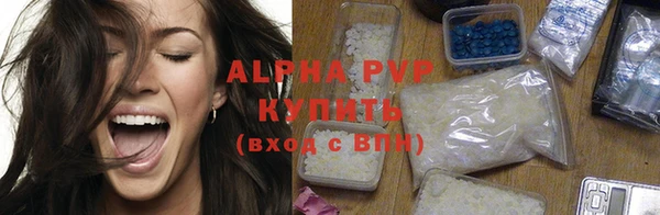 дживик Абаза
