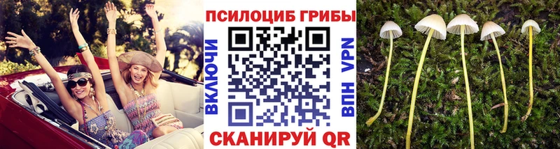что такое наркотик Майский blacksprut ССЫЛКА Псилоцибиновые грибы GOLDEN TEACHER